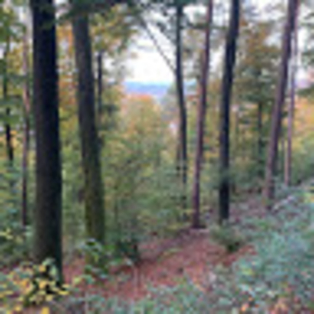 Meet your Posher, Vet-tee